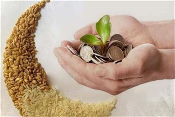 دار الإفتاء المصرية