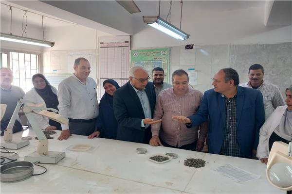 محطات غربلة وتعبئة بذرة القطن بكفر الشيخ