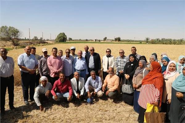 اللواء دكتور محمد الزملوط محافظ الوادي الجديد خلال حضور موسم حصاد القمح