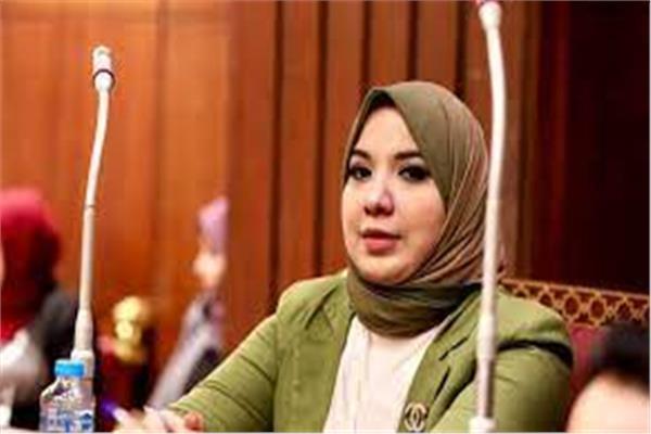  الدكتورة دينا هلالي عضو لجنة حقوق الإنسان