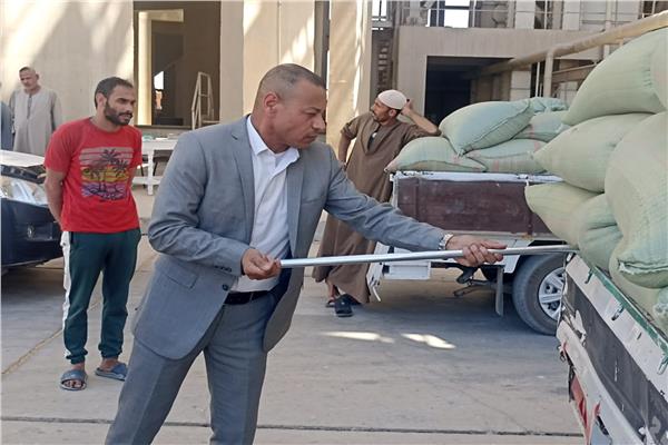 موسم توريد محصول القمح