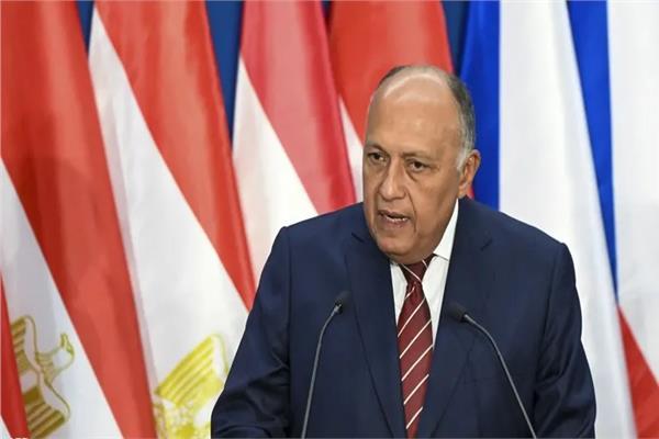 وزير الخارجية سامح شكري