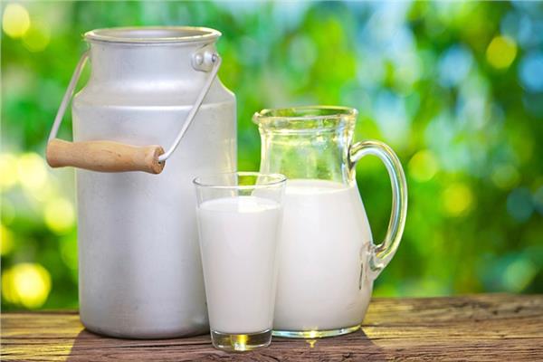 منتجات الألبان