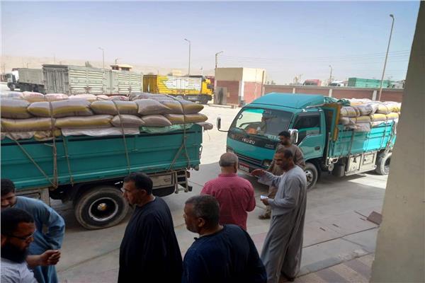 موسم توريد الأقماح 
