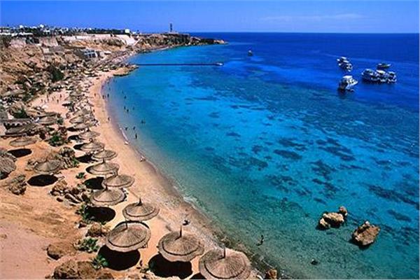 صورة موضوعية