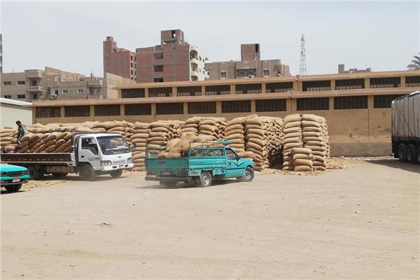 صورة موضوعية