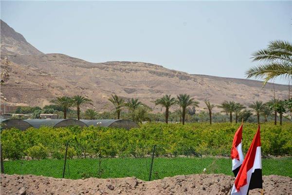 تنمية سيناء