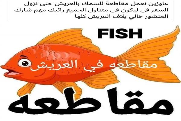 ارشيفية