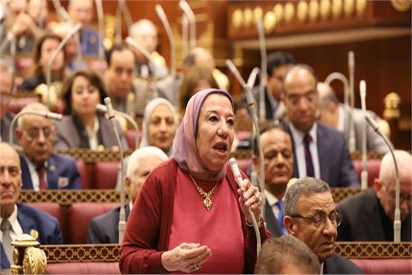 النائبة حياة خطاب عضو مجلس الشيوخ