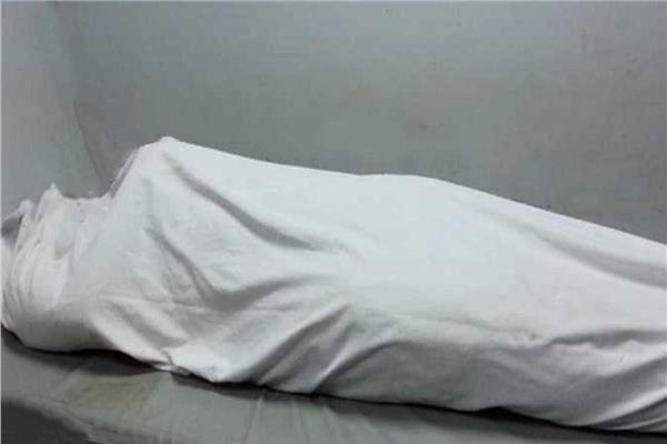 صوره موضوعية