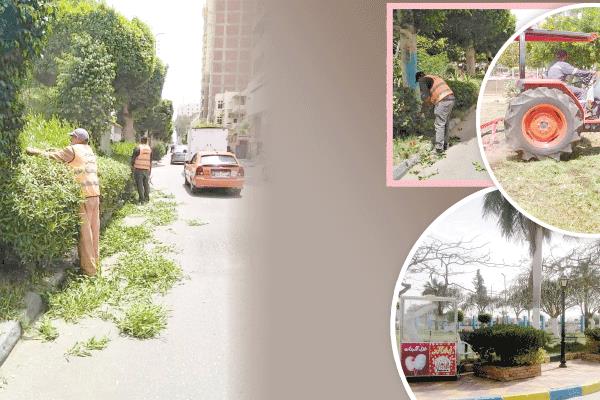 جهاز التطوير والتجميل بمحافظة الإسماعيلية