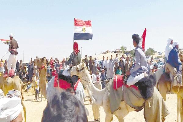 سباقات للهجن فى احتفالات السيناوية بذكرى التحرير