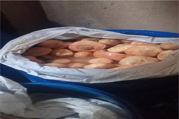 جانب من الحملات التفتيشية بدمياط