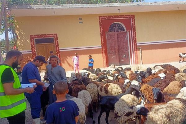 صورة موضوعية