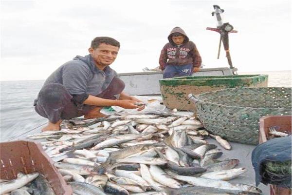 أسماك البردويل جودة وشهرة عالمية