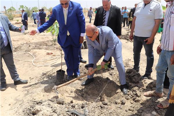 النعماني يزرع شجرة بيده