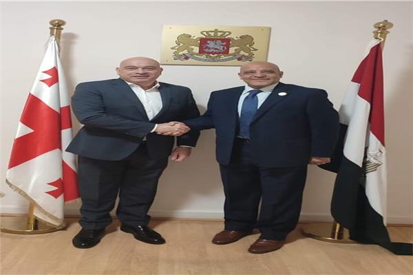 رئيس جامعة أسوان خلال استقبال سفير جورجيا