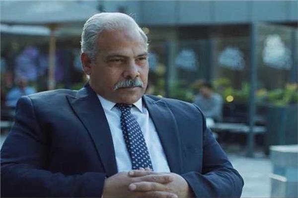 الفنان محمد رضوان 