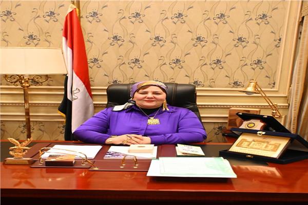  النائبة منال نصر عضو لجنة الدفاع والأمن القومي بمجلس النواب 
