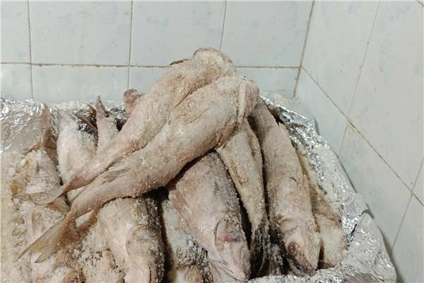 الأسماك المملحة 