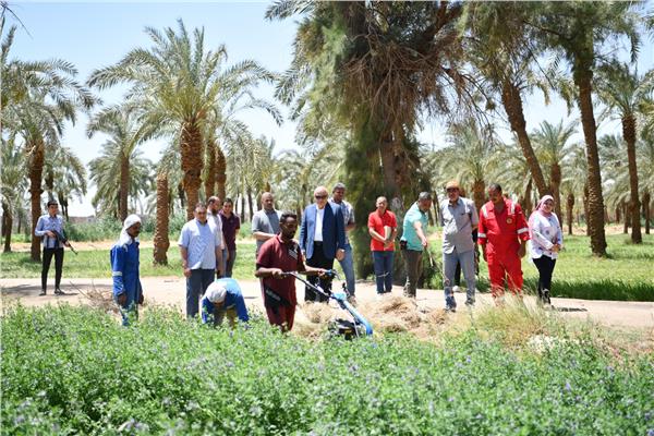 اللواء أشرف الداودي محافظ قنا بجولة تفقدية