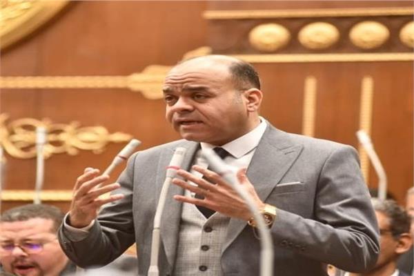 النائب عمرو القماطي، عضو مجلس الشيوخ