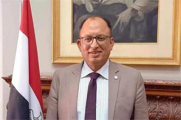 الدكتور السيد قنديل رئيس جامعة حلوا