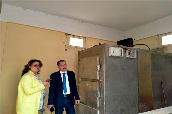 صورة موضوعية