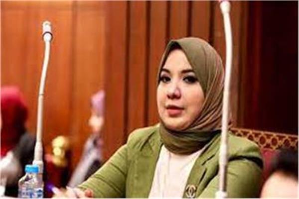 دينا هلالي، عضو مجلس الشيوخ