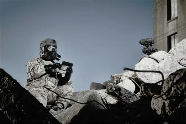 صورة موضوعية 