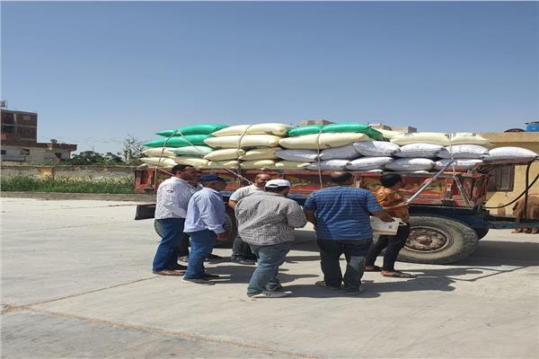 صورة موضوعية