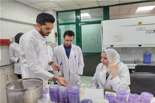 مشروع حصر ومكافحة مرض العفن البني في البطاطس