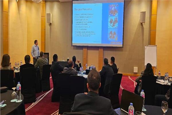 فاعليات ورشة العمل حول تنظيم البالون الطائر