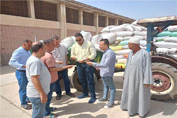 توريد 212 ألف طن قمح لشون وصوامع البحيرة 