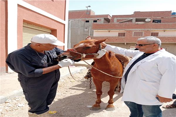 صورة موضوعية