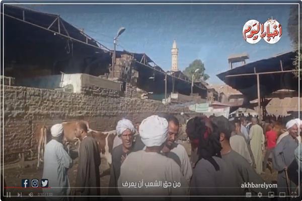شراء الأضحية