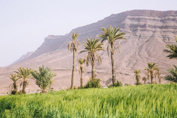 صورة موضوعية