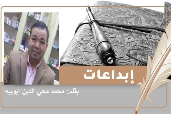 الدكتور محمد محي الدين أبوبيه