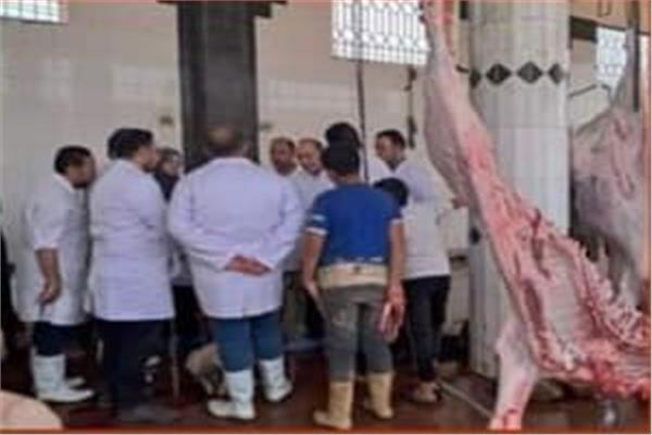 صورة موضوعية