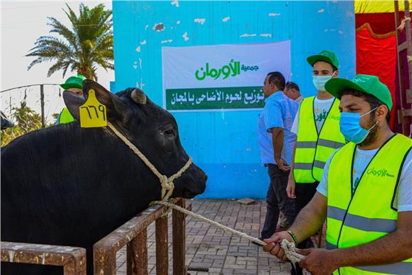 صورة موضوعية
