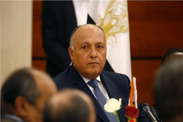 وزير الخارجية سامح شكري