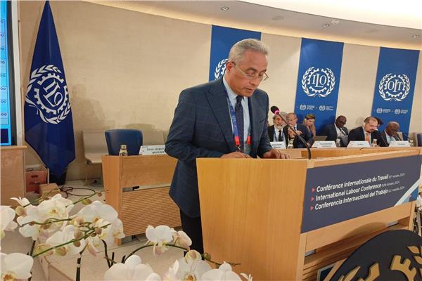 حسن شحاتة وزير العمل 