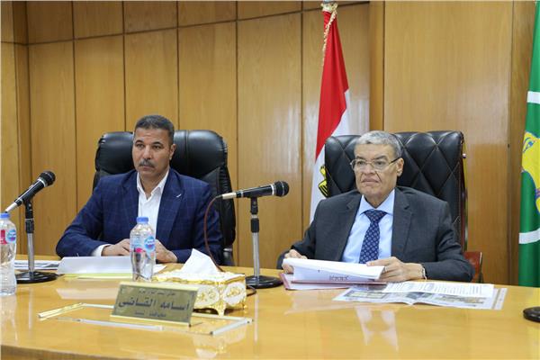 صورة موضوعية