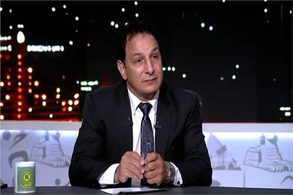 عفت نصار