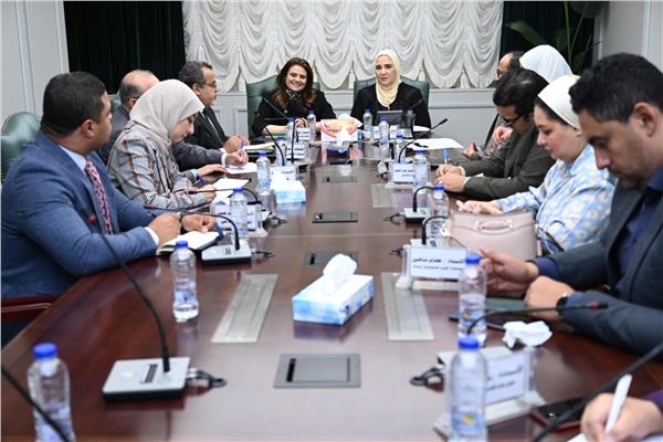 القباج وجندي تناقشان آلية إنشاء صندوق "حماية وتأمين المصريين بالخارج" 