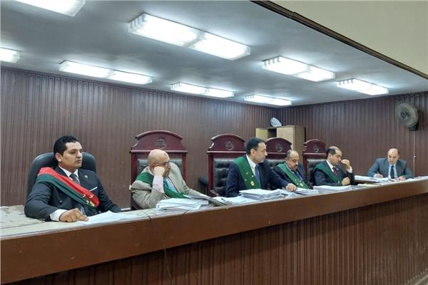 هيئة المحكمة برئاسة المستشار أيمن فؤاد فهمي