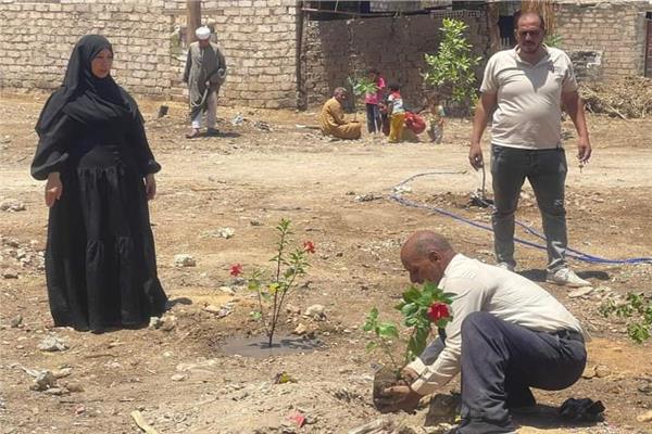 تشجير مركز البداري