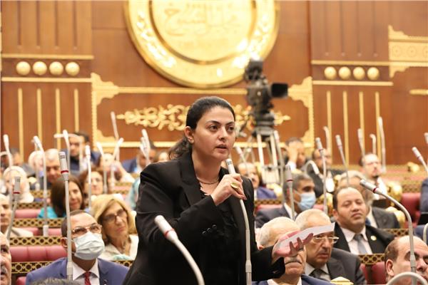 هند جوزيف عضو لجنة الدفاع والامن القومي