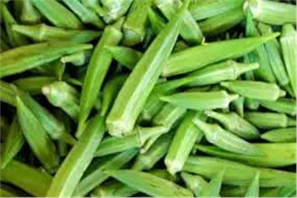 صورة أرشيفية للباميه 