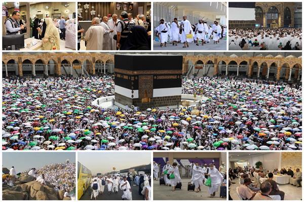 تفويج الحجاج من المدينة لمكة واكتمال صدور بطاقات نسك